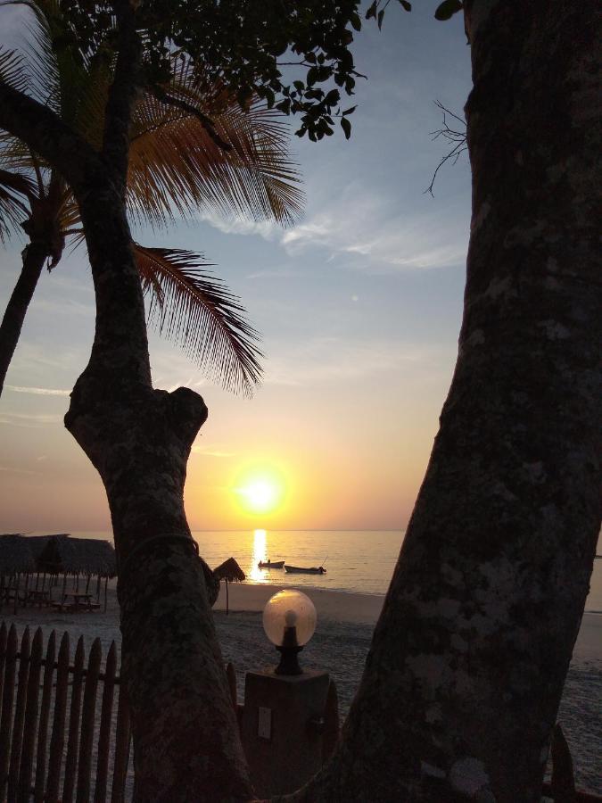Río Hato Bed & Breakfast T.T المظهر الخارجي الصورة